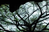 DSC_7312.jpg