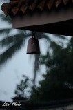 DSC_7329.jpg