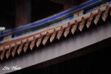 DSC_7366.jpg