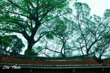 DSC_7395.jpg