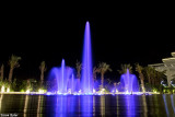 IMG_304752.jpg