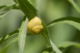 DSC_3046.jpg