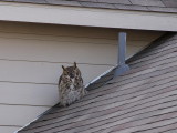 PC253171.jpg