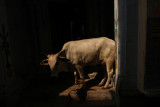 0226JPGIMG_2320