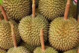 Durians.jpg