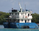 IMG_8506.jpg