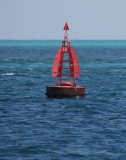 IMG_8527.jpg
