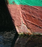 IMG_6535 (2).jpg