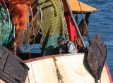 IMG_7120.jpg
