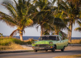 Green Car and Palms