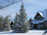 IMG_0484.JPG