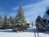 IMG_0496.JPG