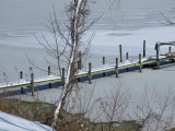IMG_0503.JPG