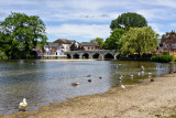 Fordingbridge
