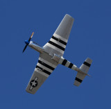 P51 