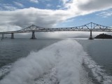 Richmond-San Rafael Bridge from the Vallejo Ferry _016.jpg