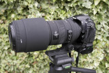 Nikon D300 with Sigma 150-500mm F5-6.3 DG OS HSM: 