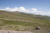 Between Artvin and Erzurum