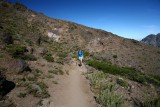 Altos de Lircay National Park