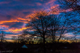 sunrise backyard 11 28 15.jpg