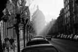 On the sunny side of the street