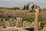 Volubilis - Morocco (_MG_0307ok.jpg