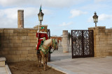 guard of gates - Marocco ( _MG_0183ok.jpg)