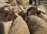 Berbers market - Marocco (IMG_2361OK.jpg