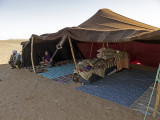 life in desert - Marocco (IMG_2437ok.jpg