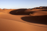 shadows of desert - Marocco (_MG_0868ok.jpg