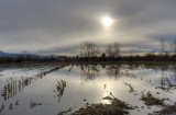 swamp - barje (_MG_9301_2_3_4_5_6_tonemapped-m.jpg)