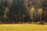 autumn - jesen (_MG_9276ok.jpg)