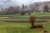 autumn - jesen (_MG_9613m.jpg)