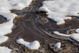 muddy path in pond - blatna pot v ribniku (_MG_3288m.jpg)