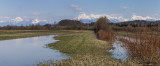 flood on Ljubljansko barje  Untitled_Panorama1m.jpg