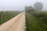 in morning fog (IMG_6618m.jpg)