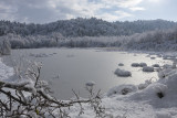 winter at pond (_MG_8158ok.jpg)