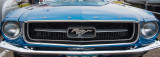 Pony