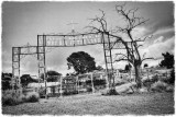 Cemetery, Virginia City, Nevada