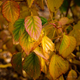october_2016