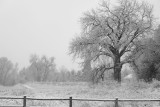 First Snowfall of the Season 