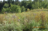 Flt 93 National Memorial Crash Site