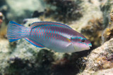 DSC_2940.jpg