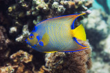 DSC_4551.jpg