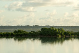 North Caicos Mangrove Wetlands