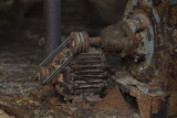 CB6K2025.jpg