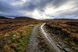 Peat lands