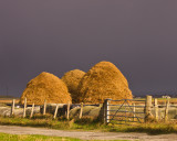 haystacks