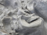Ashfall Fossil Beds, NE