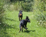 IMG_0395a_8-22-11.jpg